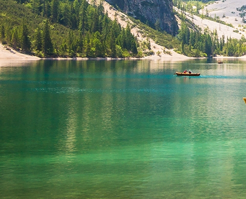 上海创新粉象生活官网