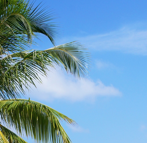 粉象生活平台收益怎么算