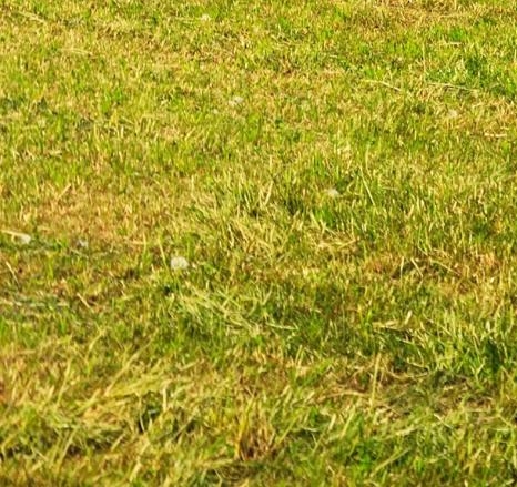 粉象生活官方正版粉象生活