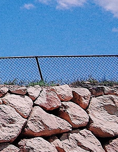 粉象生活真实收入