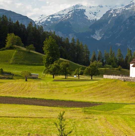粉象用户名和头像怎么改的