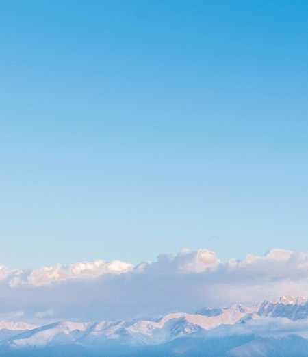 粉象生活怎么找拼多多券