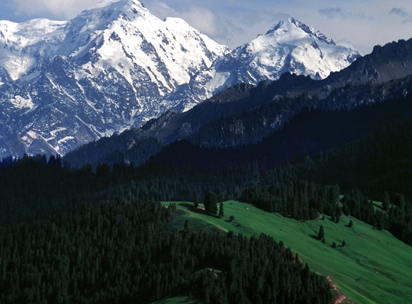 粉象生活推广引流软件