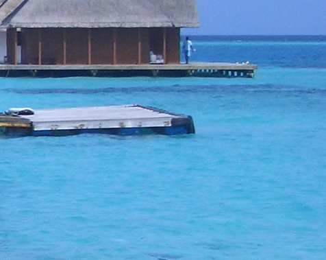 粉象生活能赚到钱吗