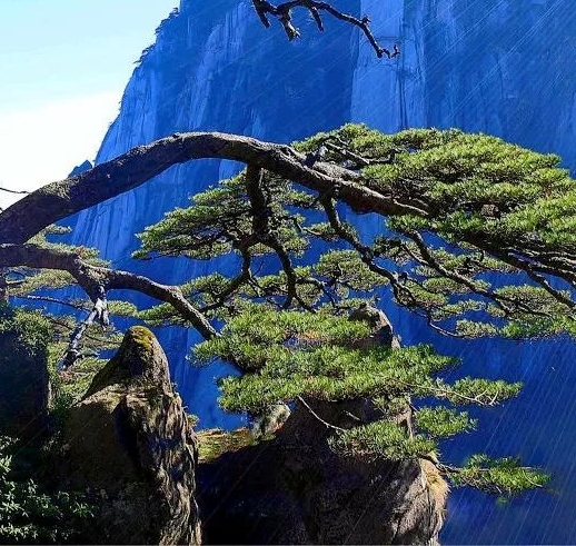 福建粉象生活赚钱