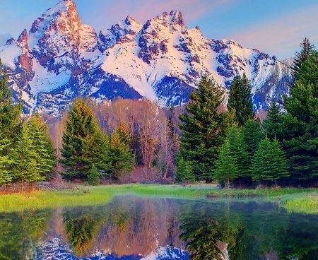 百度惠生活需要交保证金