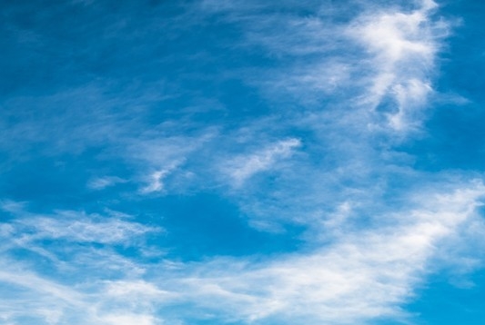 粉象生活是什么?