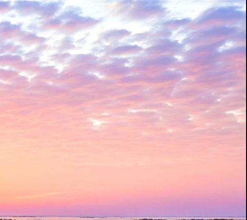 粉象生活如何取消推广