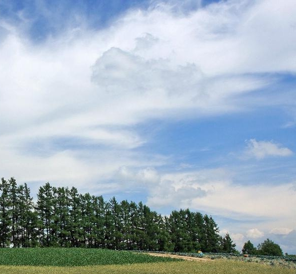 粉象生活怎么看买过的东西