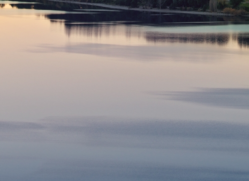 粉象生活最新消息