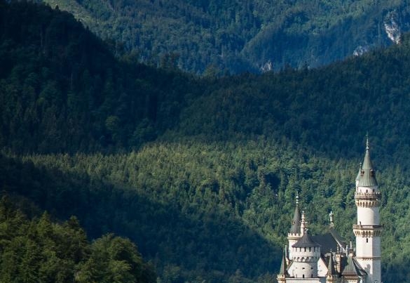 粉象生活粉丝升级我有多少佣金