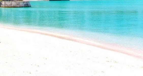 不用邀请码可以注册粉象吗