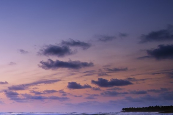 粉象生活代理商收费标准