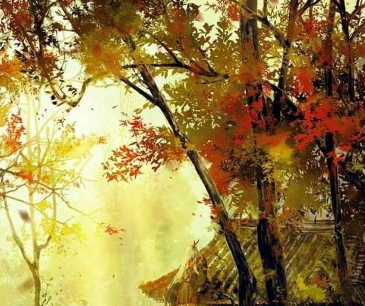 粉象生活的创业故事