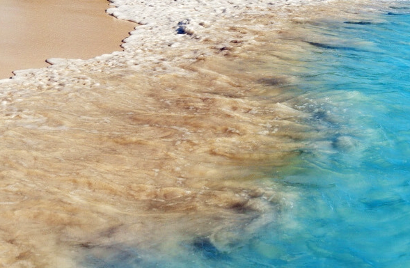 粉象生活是东西好不好