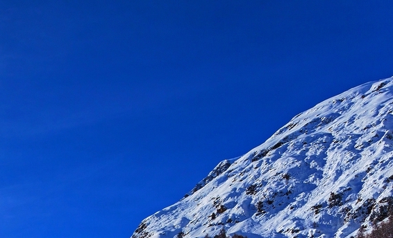粉象生活折扣馆