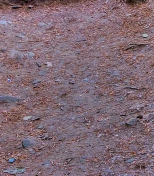 粉象积分有什么用