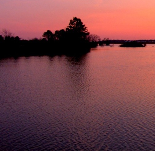粉象生活有人赚钱