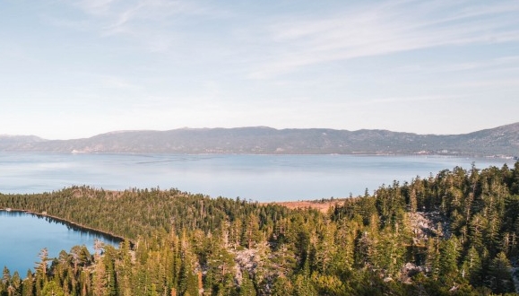 粉象生活邀请码在哪里填写