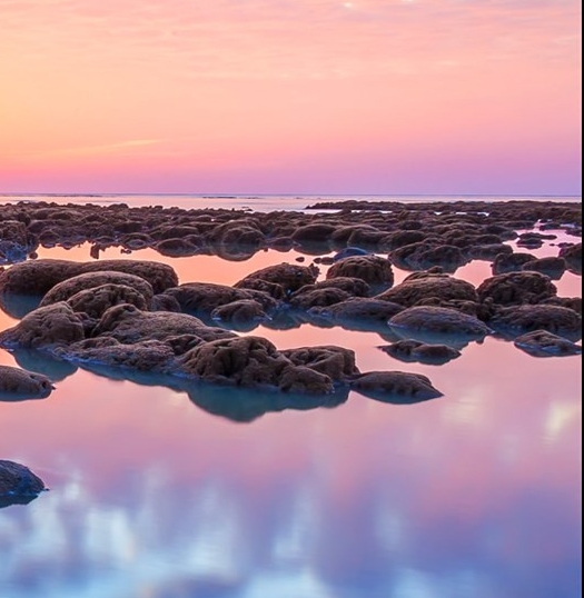 粉象生活为什么要升级vip