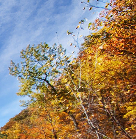 粉象生活是否是骗局呀