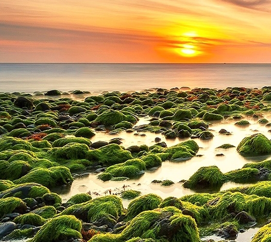 粉象生活给的佣金怎么来的