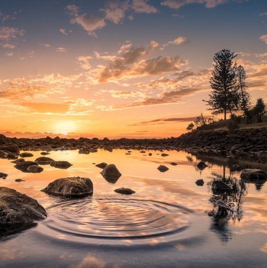 粉象生活怎么赚钱的