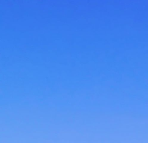 粉象生活招聘