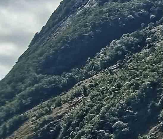 粉象生活创业赚钱