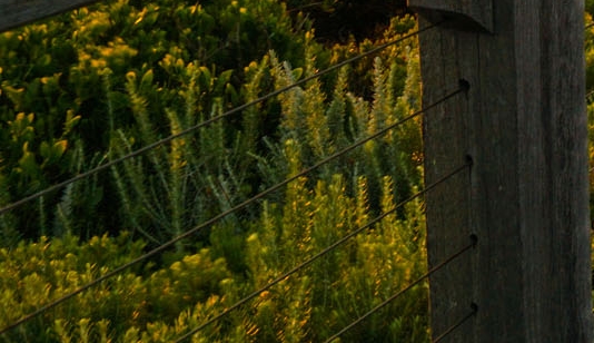 粉象生活邀请码