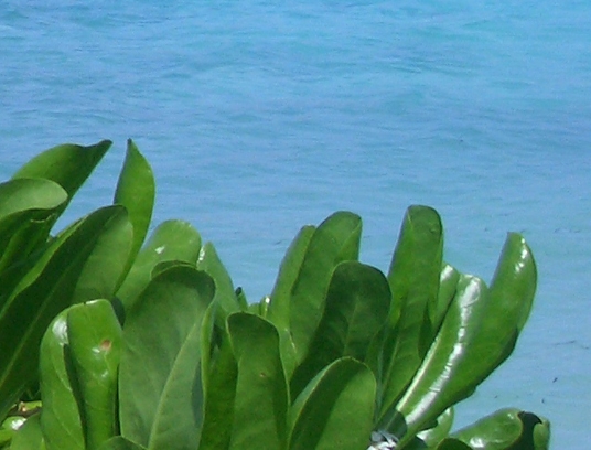 微信全球折扣馆