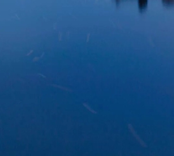 山东一站式粉象生活官网