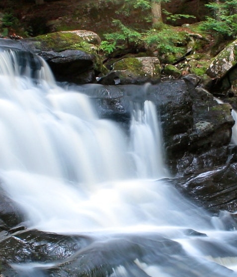 粉象生活加盟店怎么样