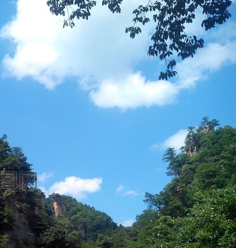 粉象生活是什么?