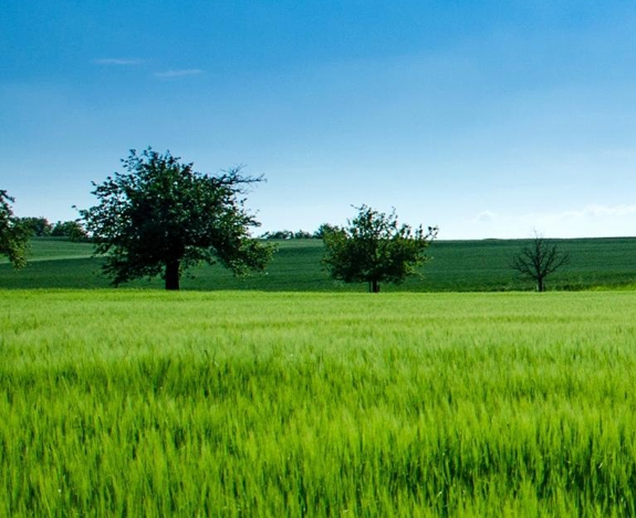 如何入驻建行生活