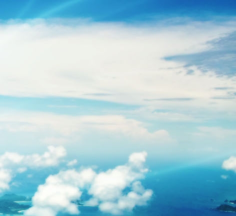 福建雏象食品有限公司