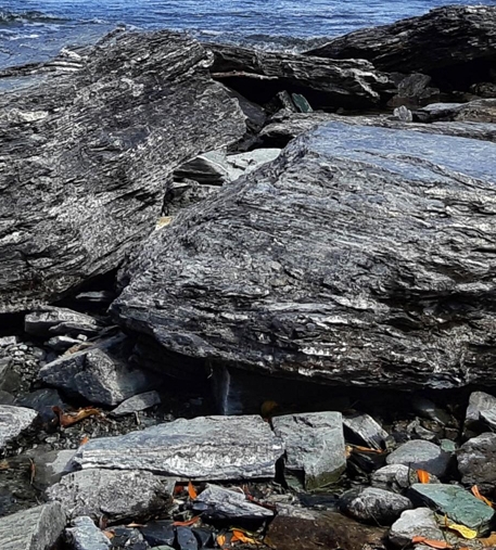 粉象生活粉丝怎么增加