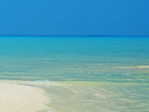 粉象生活真的可以提现吗?