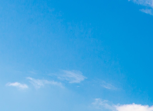 粉象生活推广收入