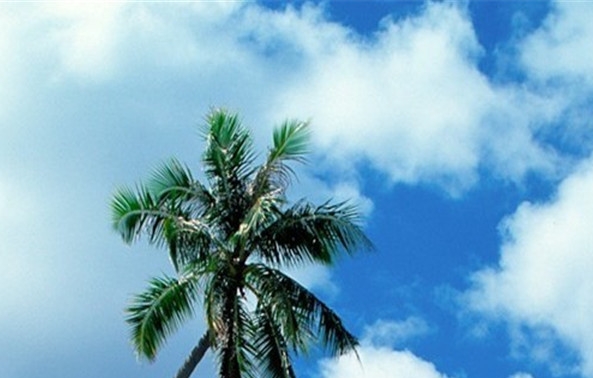 杭州粉象生活社交电商视频