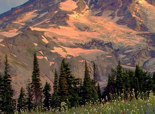 黄山粉象生活加盟粉象生活