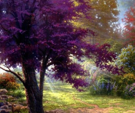 粉象生活怎么在电脑上登录