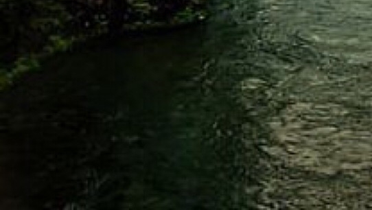 粉象生活新手如何养号