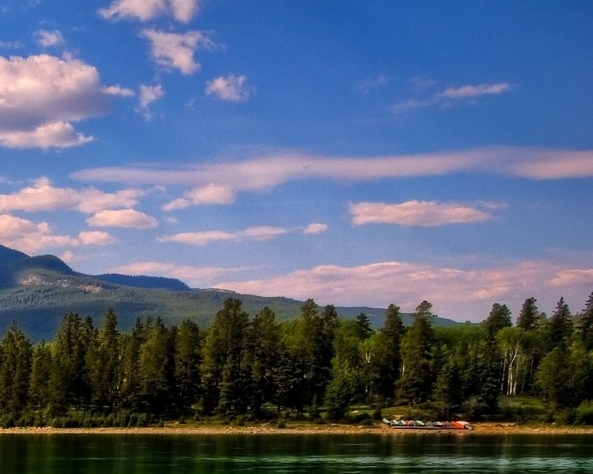 江门粉象生活图片