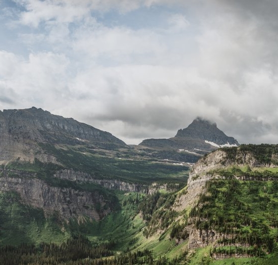 粉象生活软件网上注册