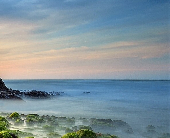 粉象生活自己能买吗