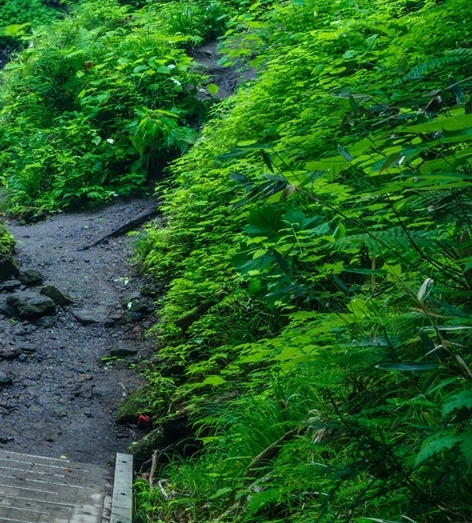 樱桃粉象度数高吗