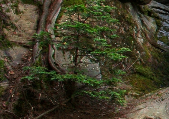粉象生活怎么换邀请码