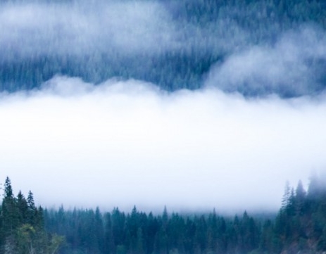 粉象生活粉丝怎么增加