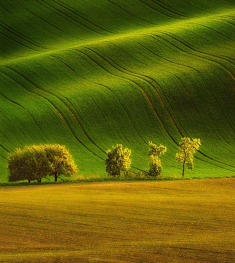 怎么在粉象生活领优惠券